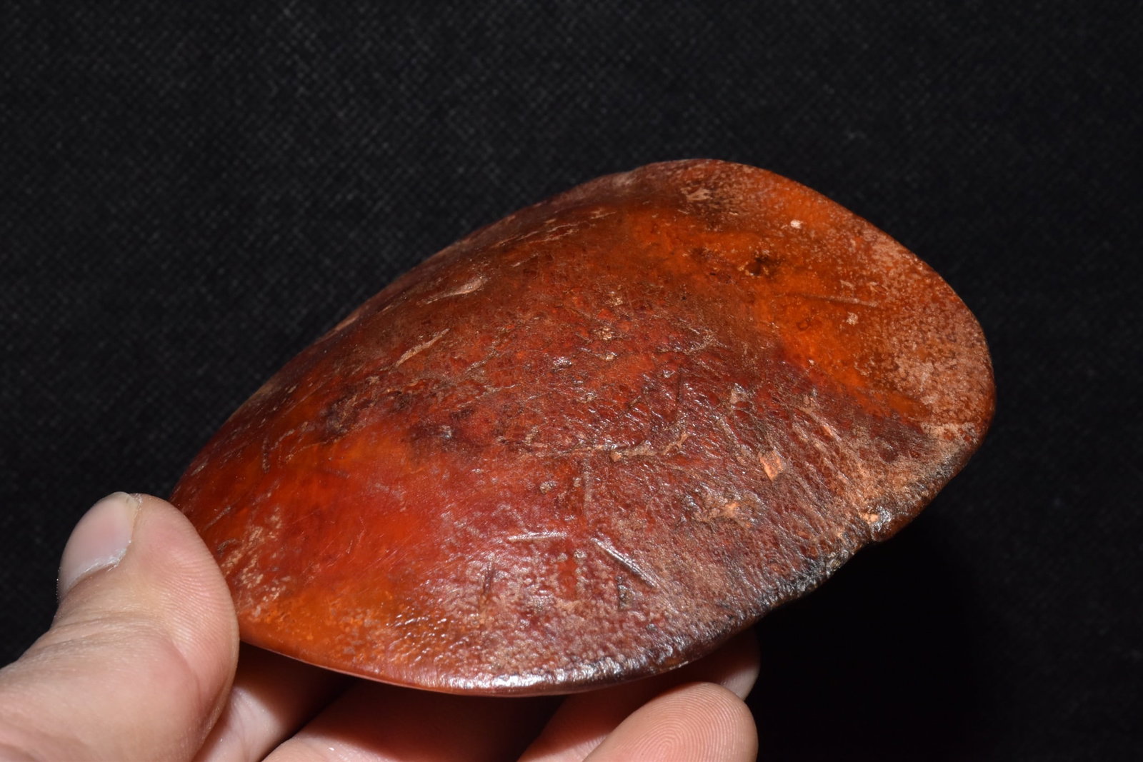 An Exquisite Hemo Jade Tortoise shell Ornament - 4