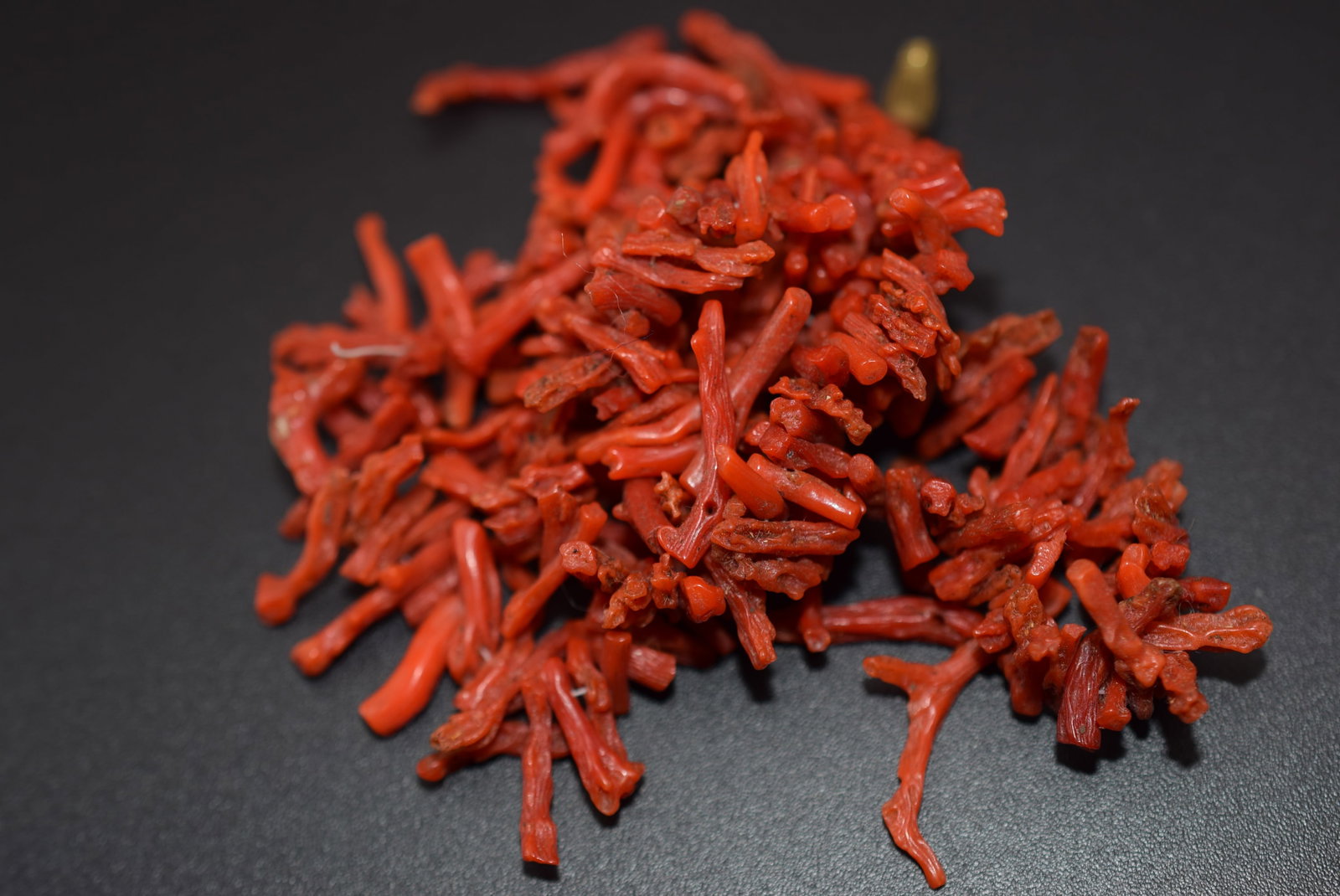 OLD Branch Coral Natural needs restringing Lot 822: OLD Branch Coral Natural needs restringing measures 15"
