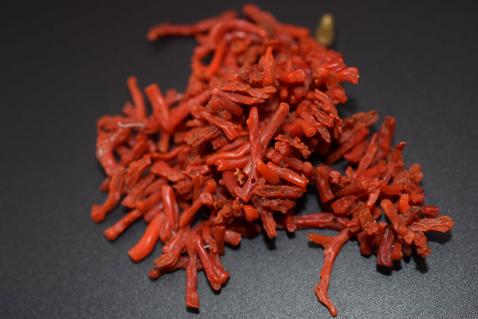 OLD Branch Coral Natural needs restringing Lot 822 (1 of 2)