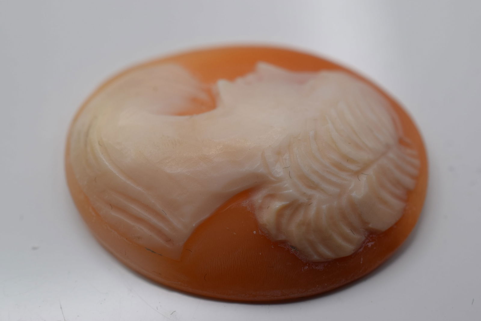 Shell Cameo 1 1/4" Vintage Lot EH 1033: Shell Cameo 1 1/4" Vintage measures 1 1/4" x 1"