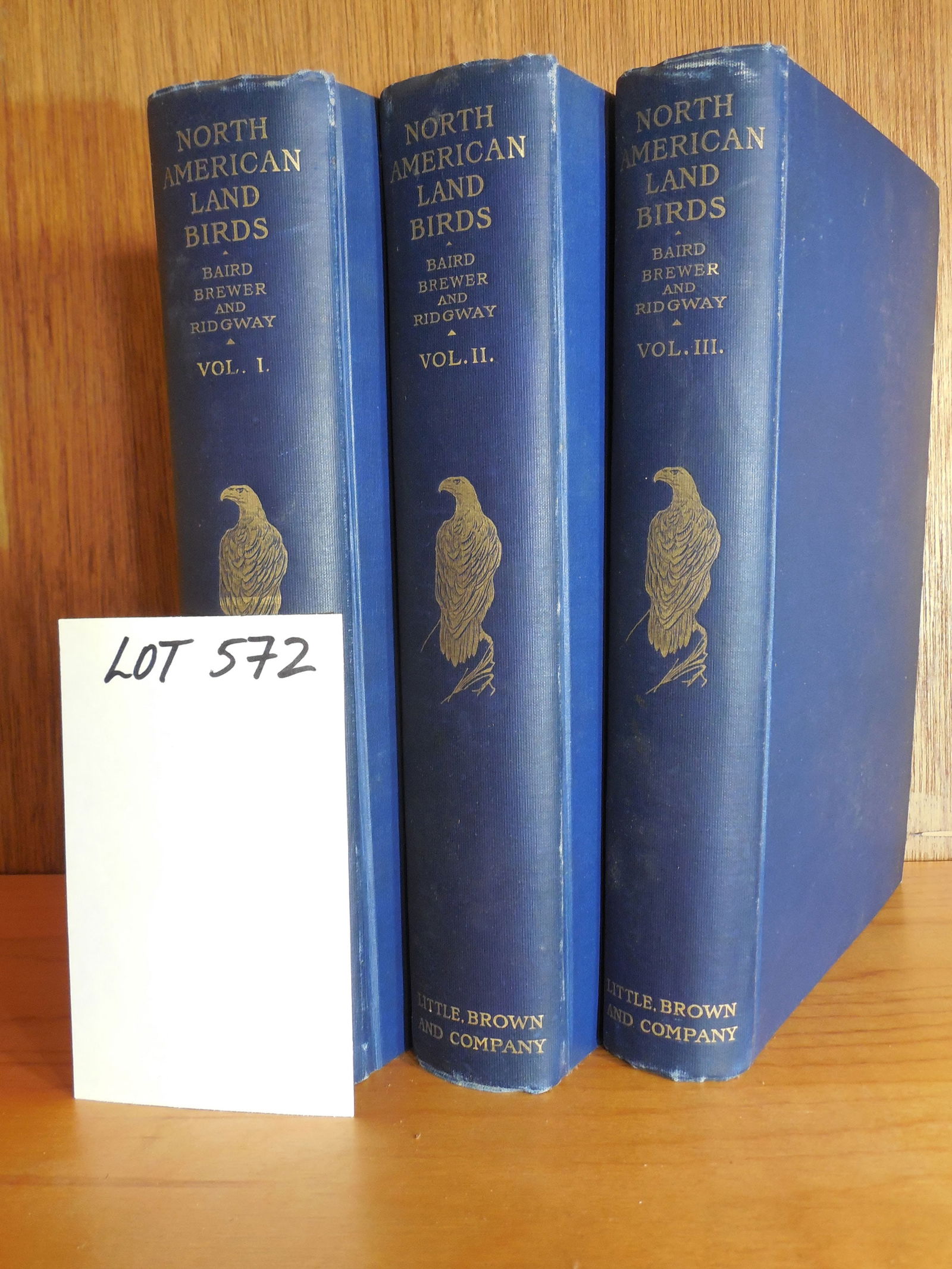 "A History of North American Birds" 3 Volume Book Lot by S.F. Baird, T.M. Brewer, and R. Ridgway (1 of 4)