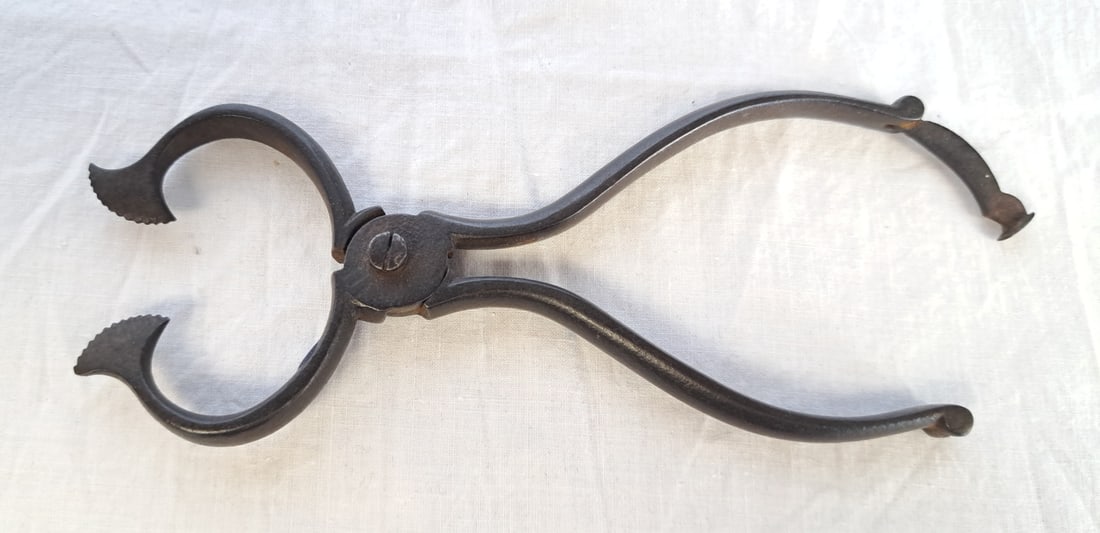 Diminutive Pair of 1780's Sugar Knippers: 5 1/2" long x 1 3/4"