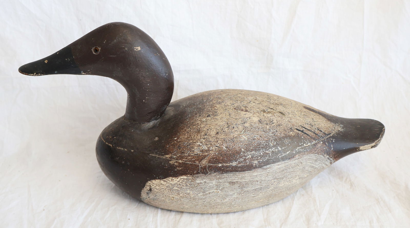 Canvas Back Decoy - 2