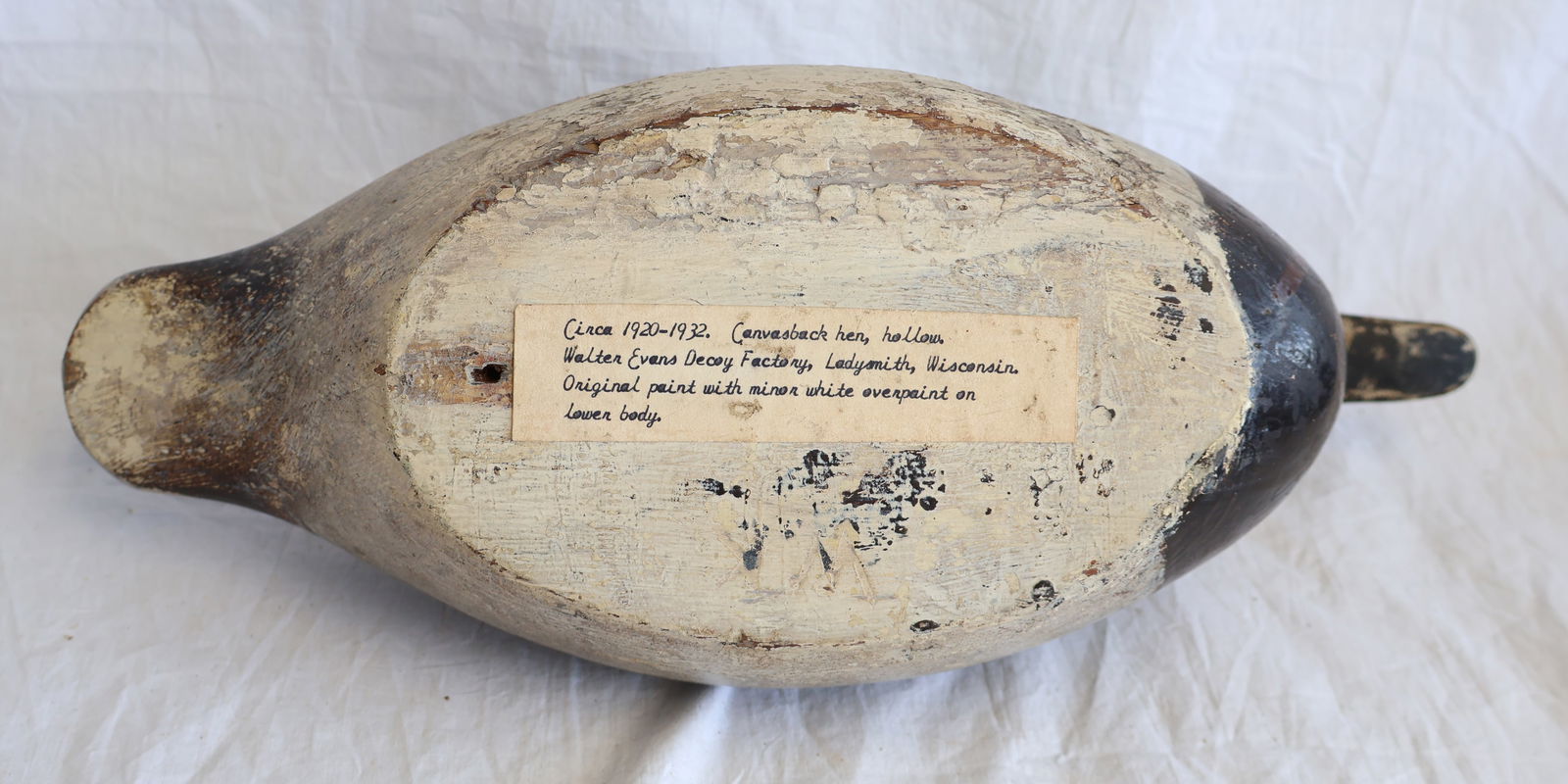 Canvas Back Decoy - 5