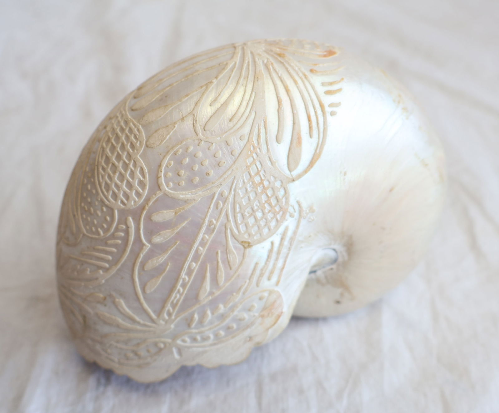 Decorated Seashell - 3