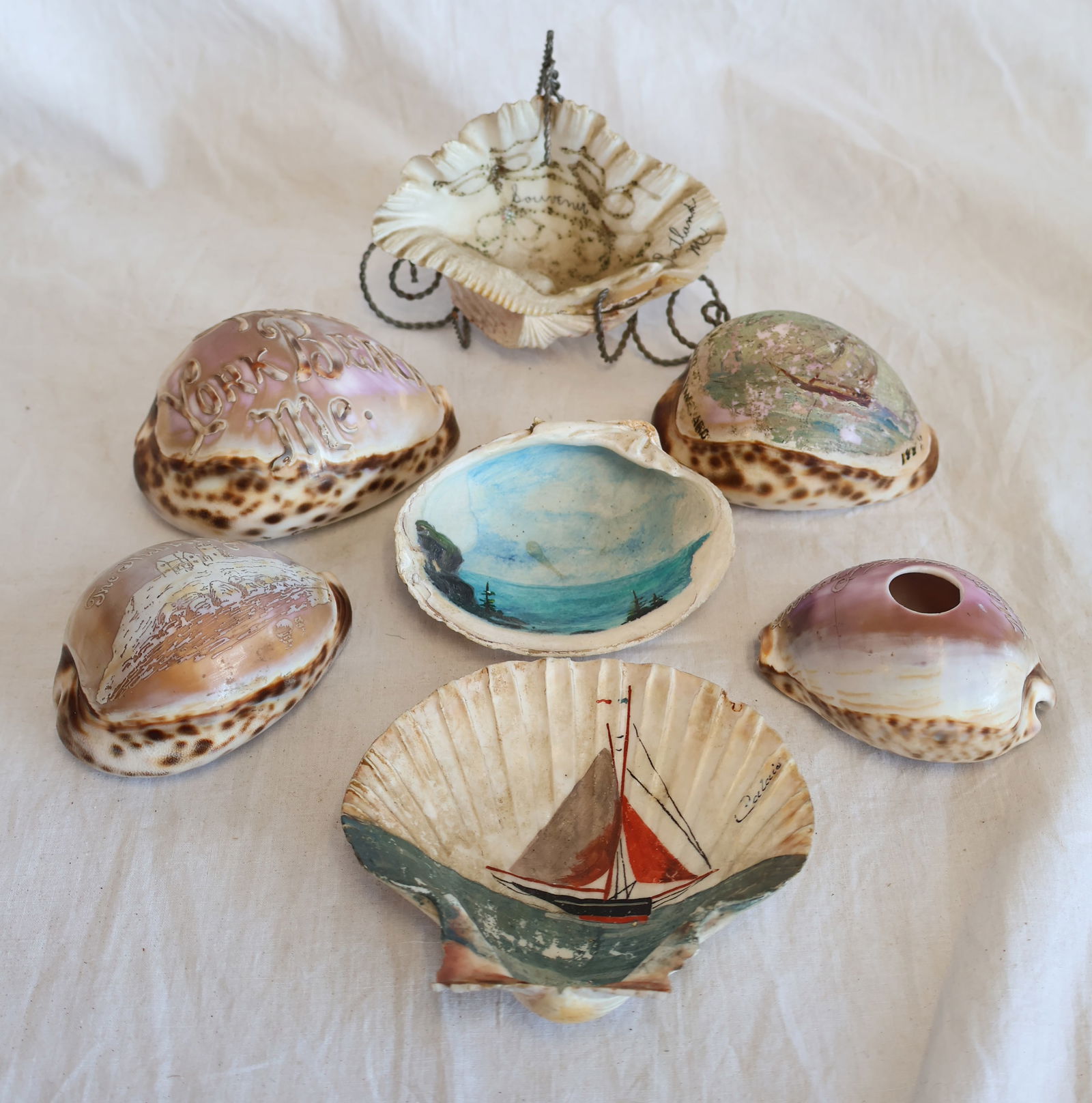 Lot of Seven Decorated & Carved Souvenir Seashells from all over New England (1 of 6)