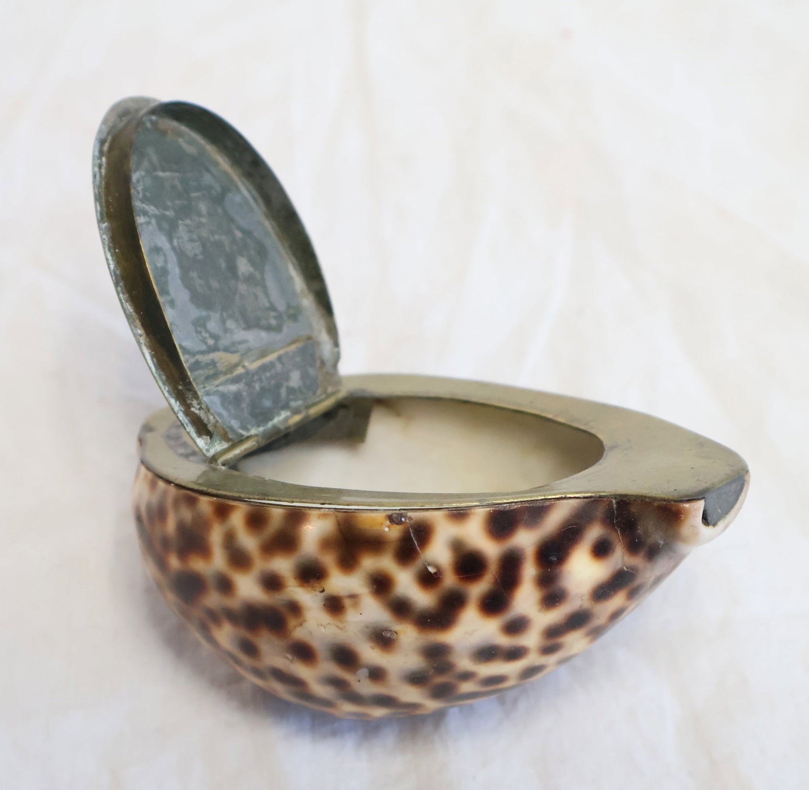 Snuff Box Made from a Shell with Brass Fittings: 3 3/8" x 2 1/2" x 1 5/8" Gurley Auction Company provides In House Packing and Shipping and strive to keep costs as reasonable as possible. Please take the time to research the cost of shipping for the