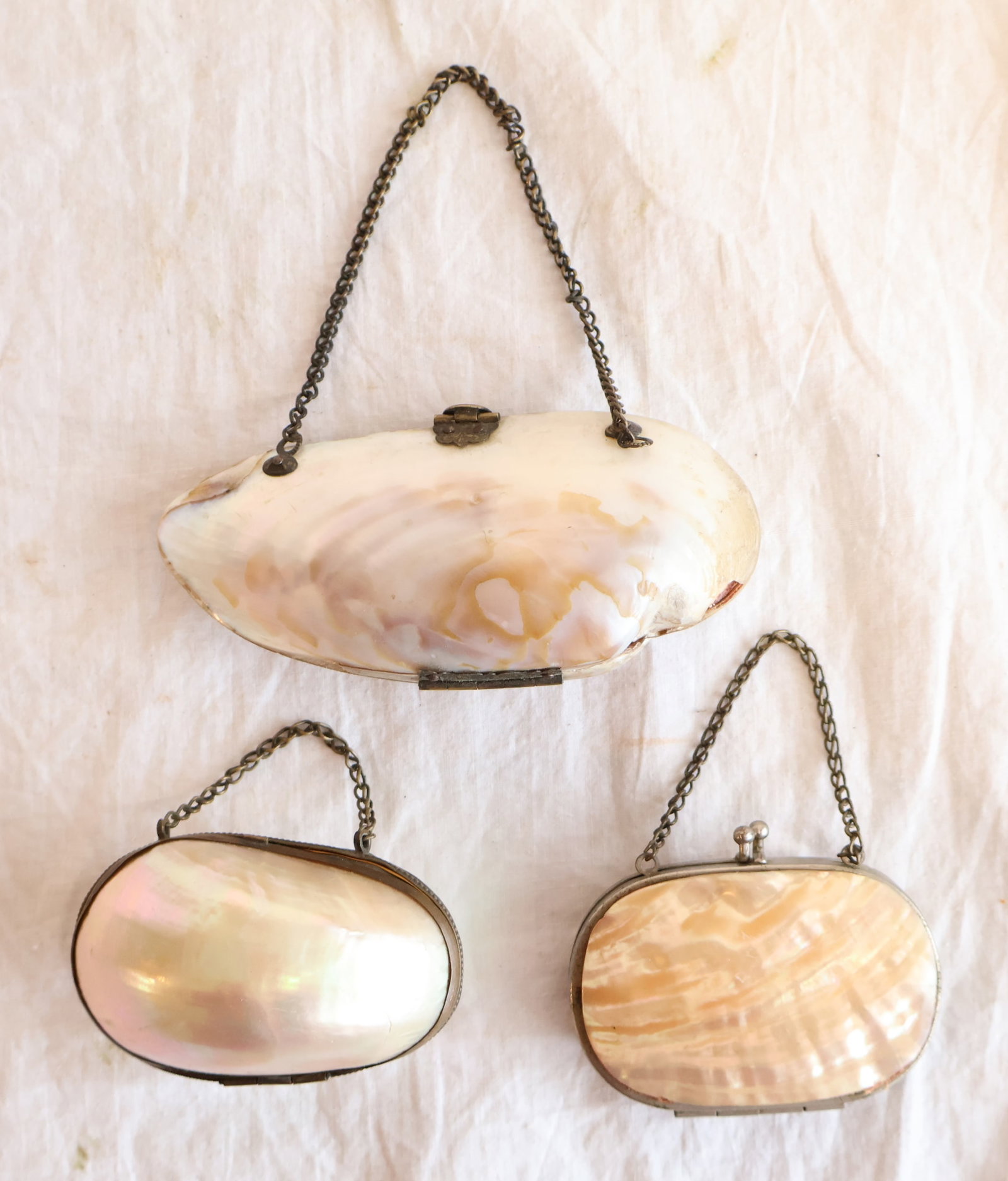 3 Shell Purses (1 of 4)