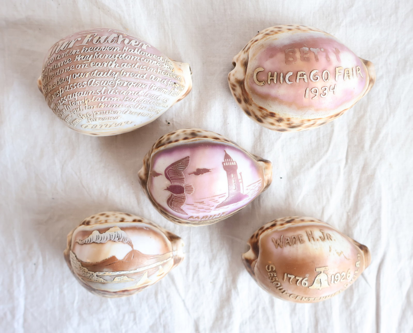 Lot of Five Carved Seashells; Chicago Fair & 1926 Sesqui- Centennial (1 of 4)