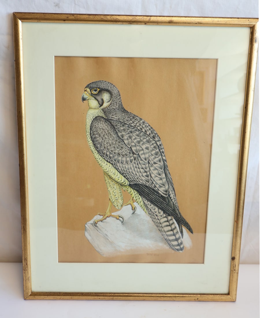 Signed Pencil and Gouche Painting of Bird of Prey: Sight: 12 3/4" x 17 1/2" Overall Size: 19" x 24 1/2" Gurley Auction Company provides IN HOUSE PACKING AND SHIPPING and we strive to keep costs as reasonable as possible. Please take the time to resear