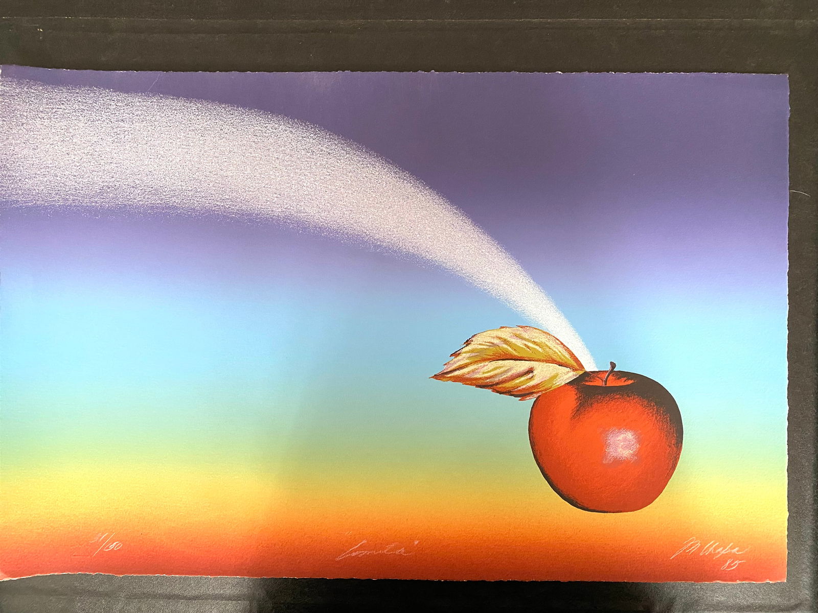 Martha Chapa (Mexican b. 1946) signed Lithograph 31/150  "Celestial" (1 of 6)