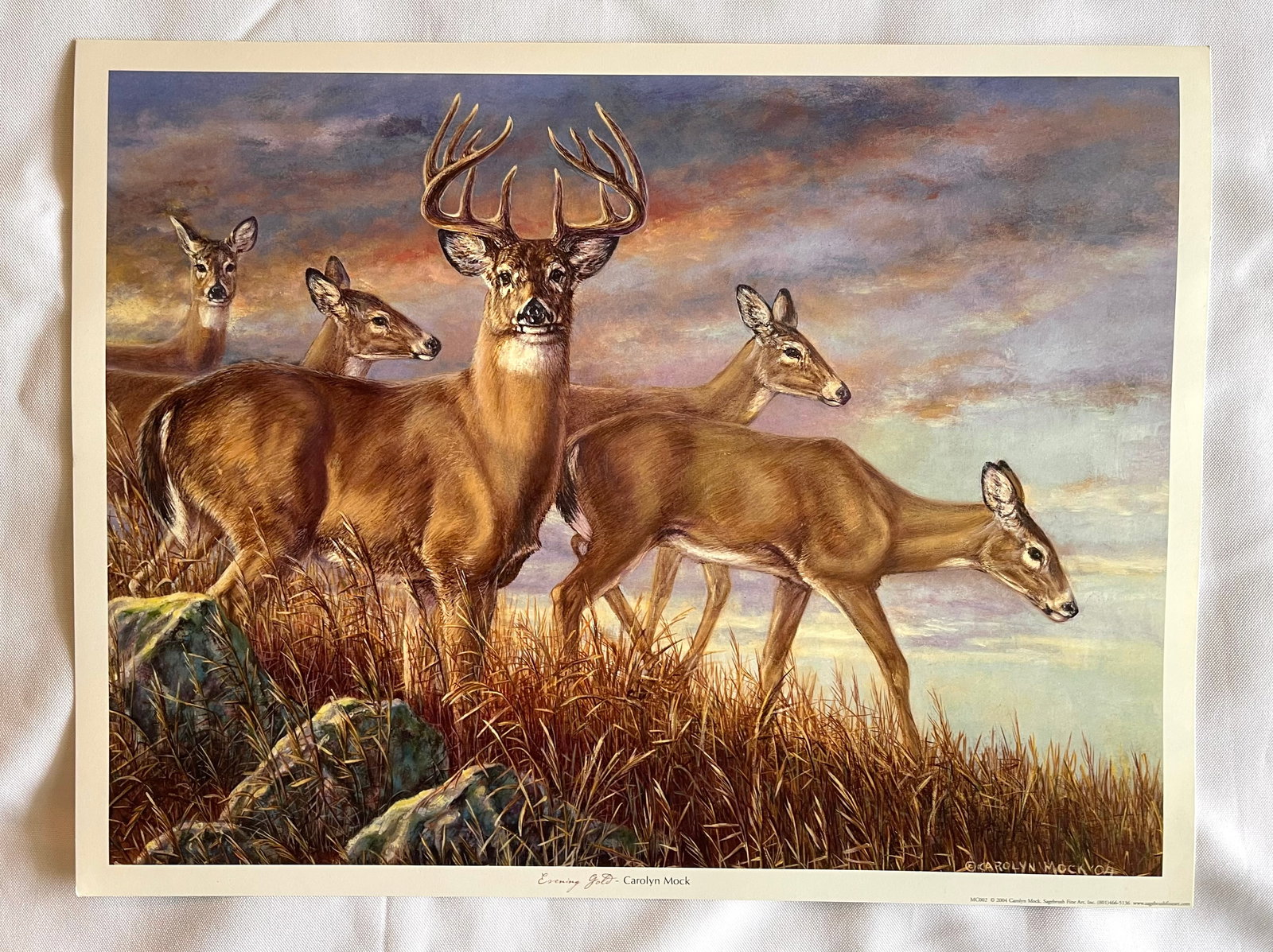 Carolyn Mock, Print "Evening Gold" (1 of 4)