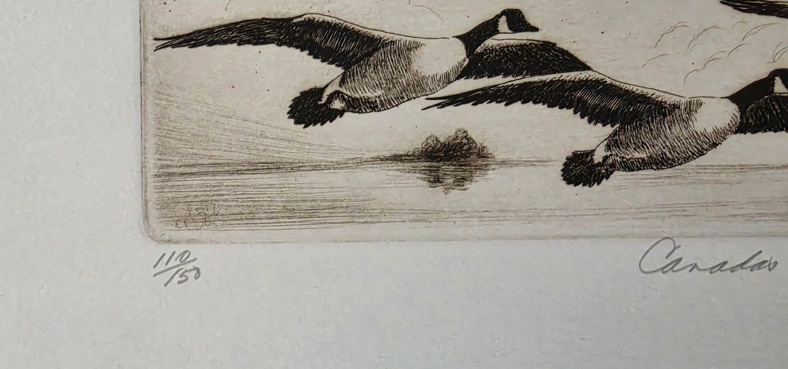 LINDA LLOYD Etching "Canadas" - 5