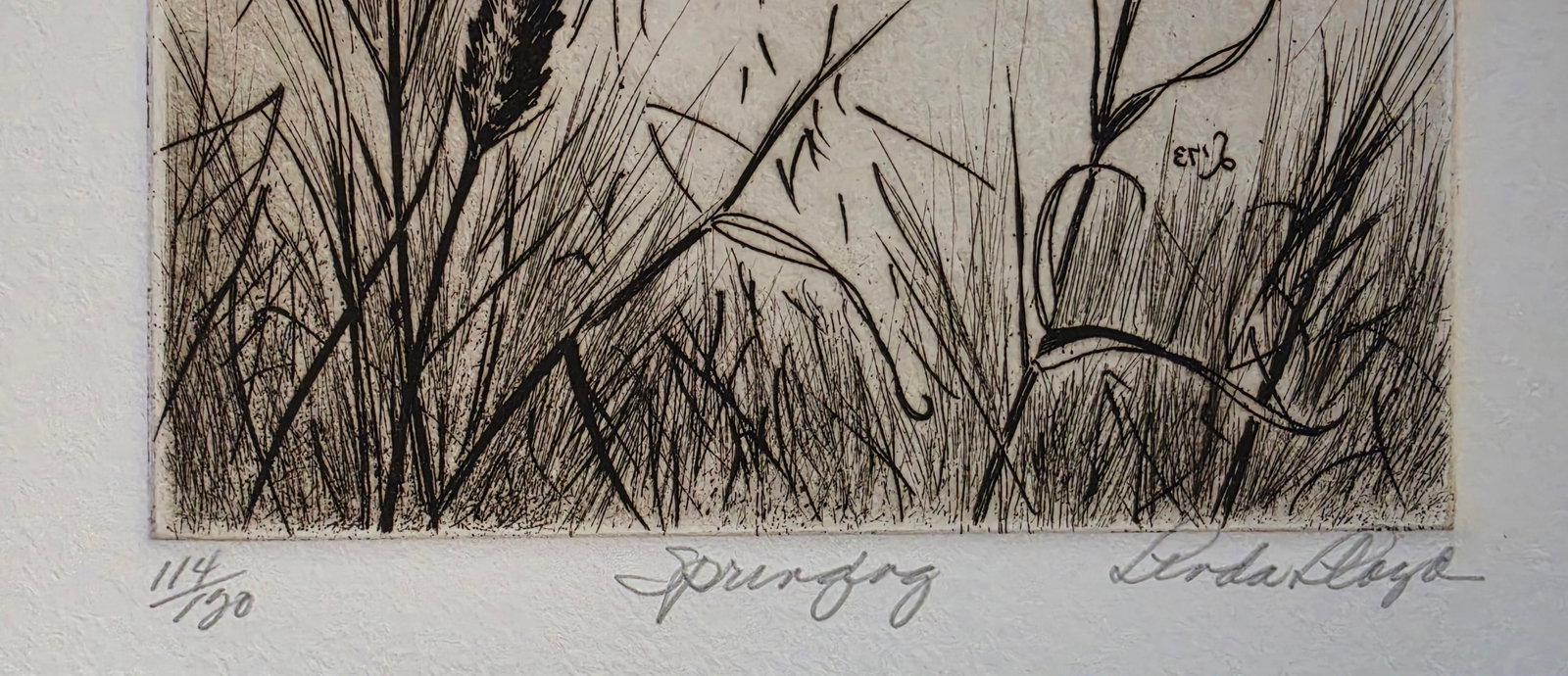 LINDA LLOYD Etching "Springing" - 4