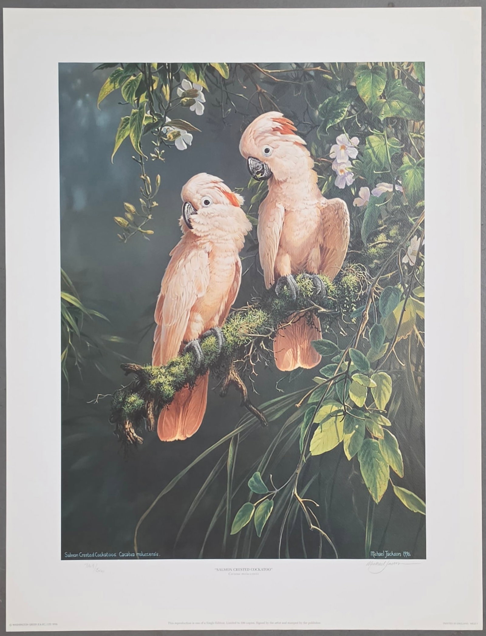 MICHAEL JACKSON Offset Lithograph "Salmon Crested Cockatoo": NO RESERVE Item Details Artist: Michael Jackson Title: Salmon Crested Cockatoo Year: 1996 Dimensions: 27-1/2 x 21-1/2 in. Edition: 500 Framed: no Medium: Offset Lithograph Condition: