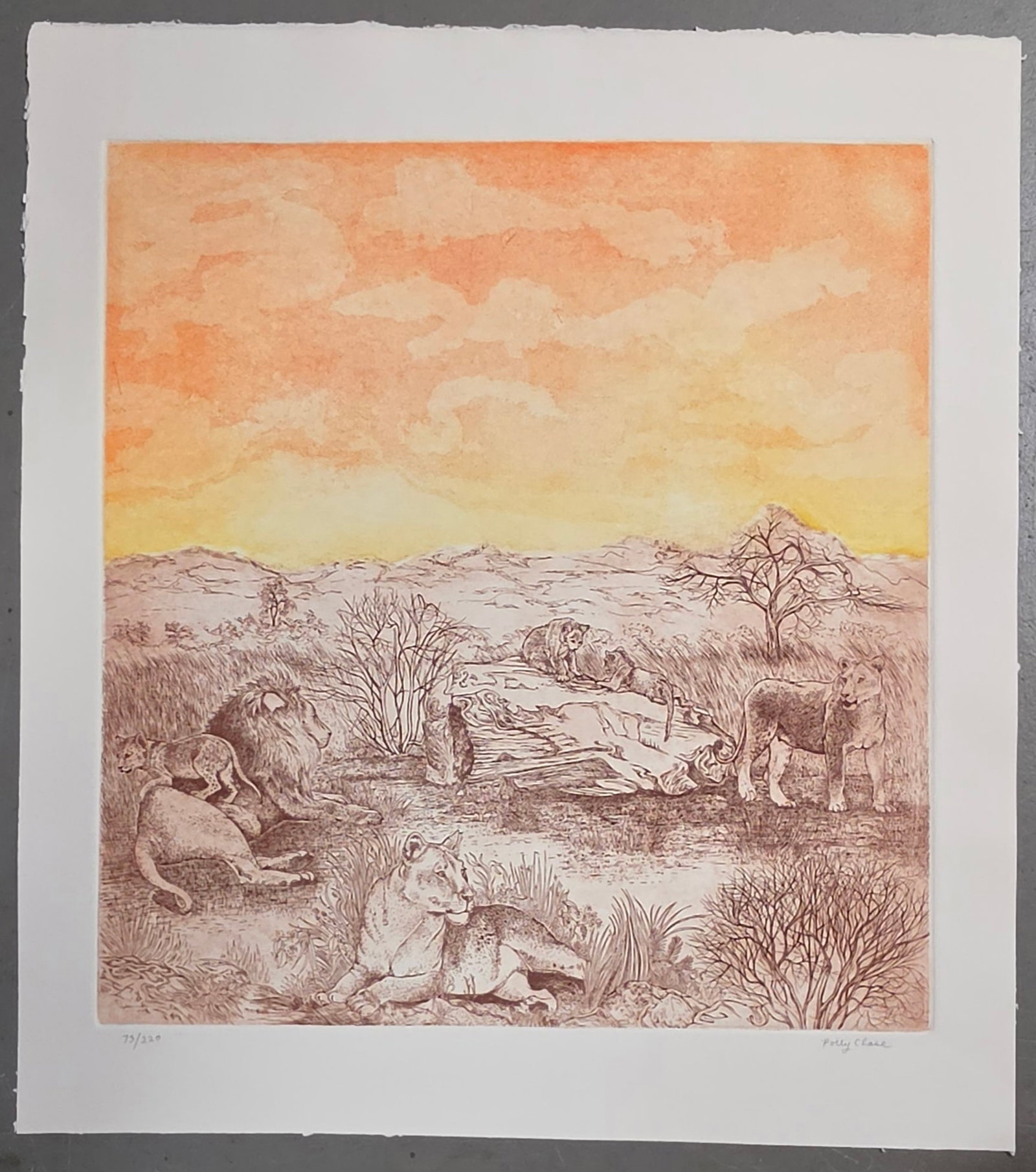 POLLY CHASE Etching "Pride" (1 of 7)