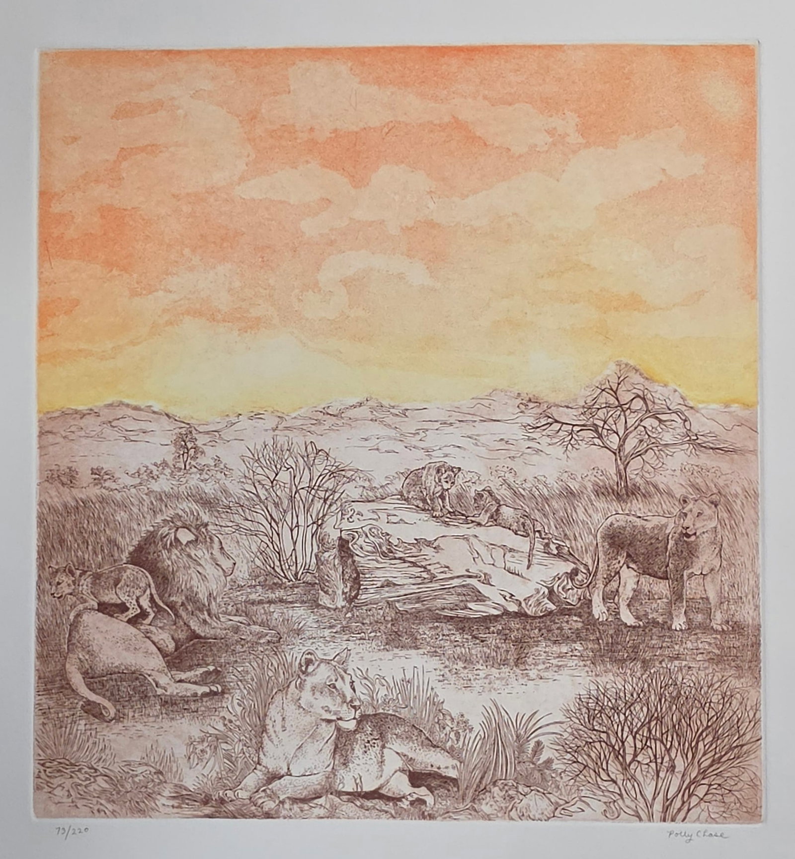 POLLY CHASE Etching "Pride" - 2