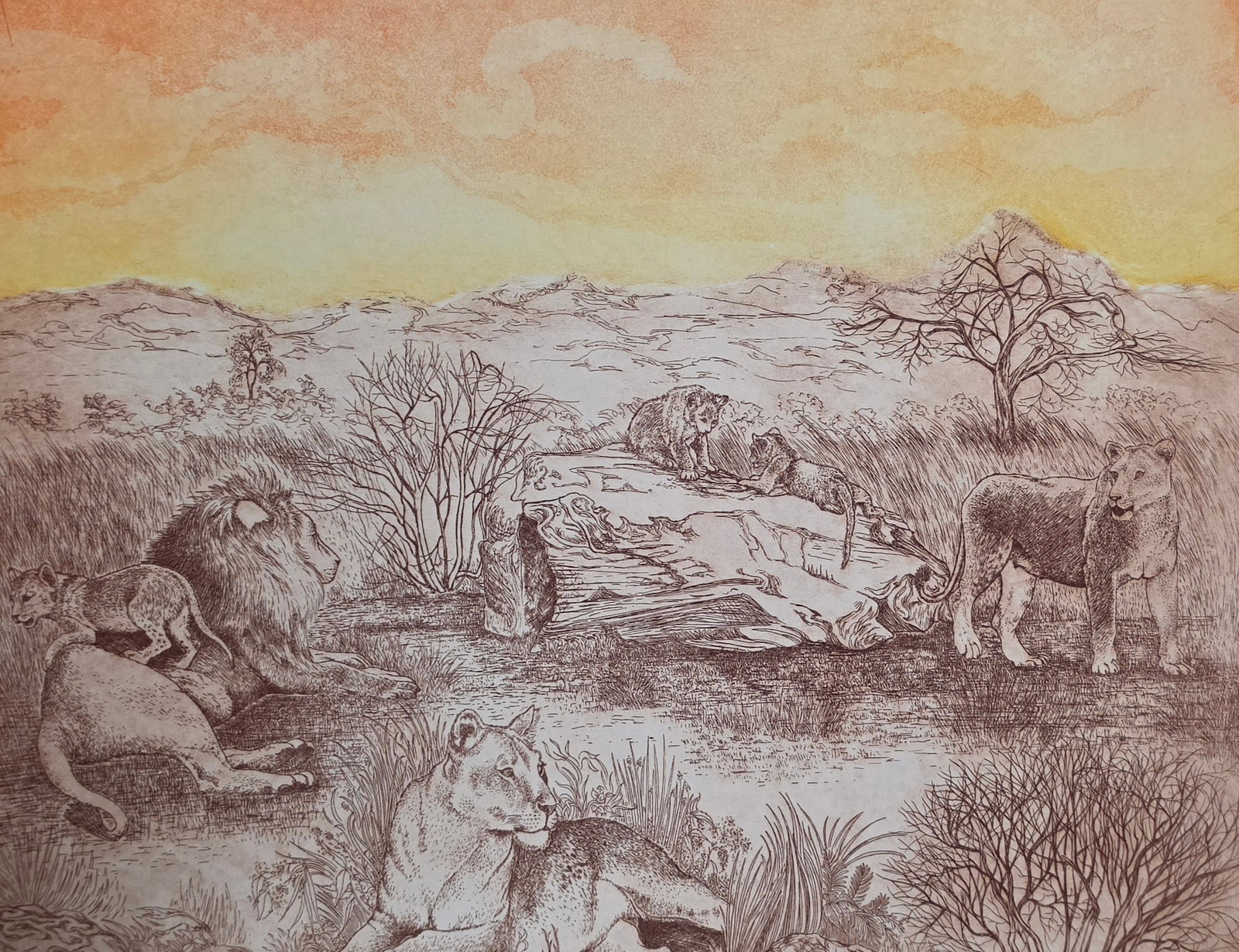 POLLY CHASE Etching "Pride" - 5