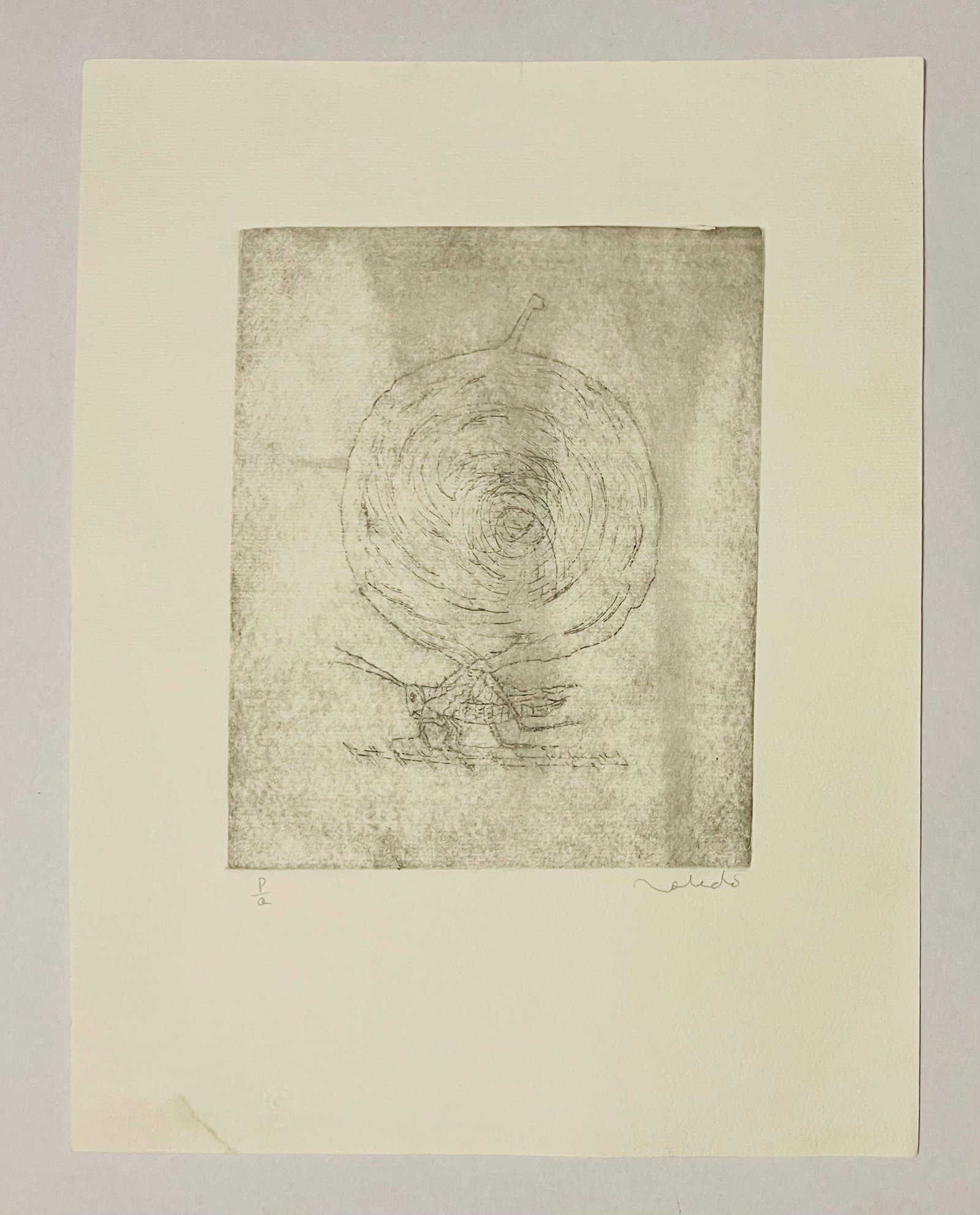 Francisco Toledo, (1940-2019), Hand Signed, Aguafuerte Etching, P.A "Grasshopper" (1 of 4)