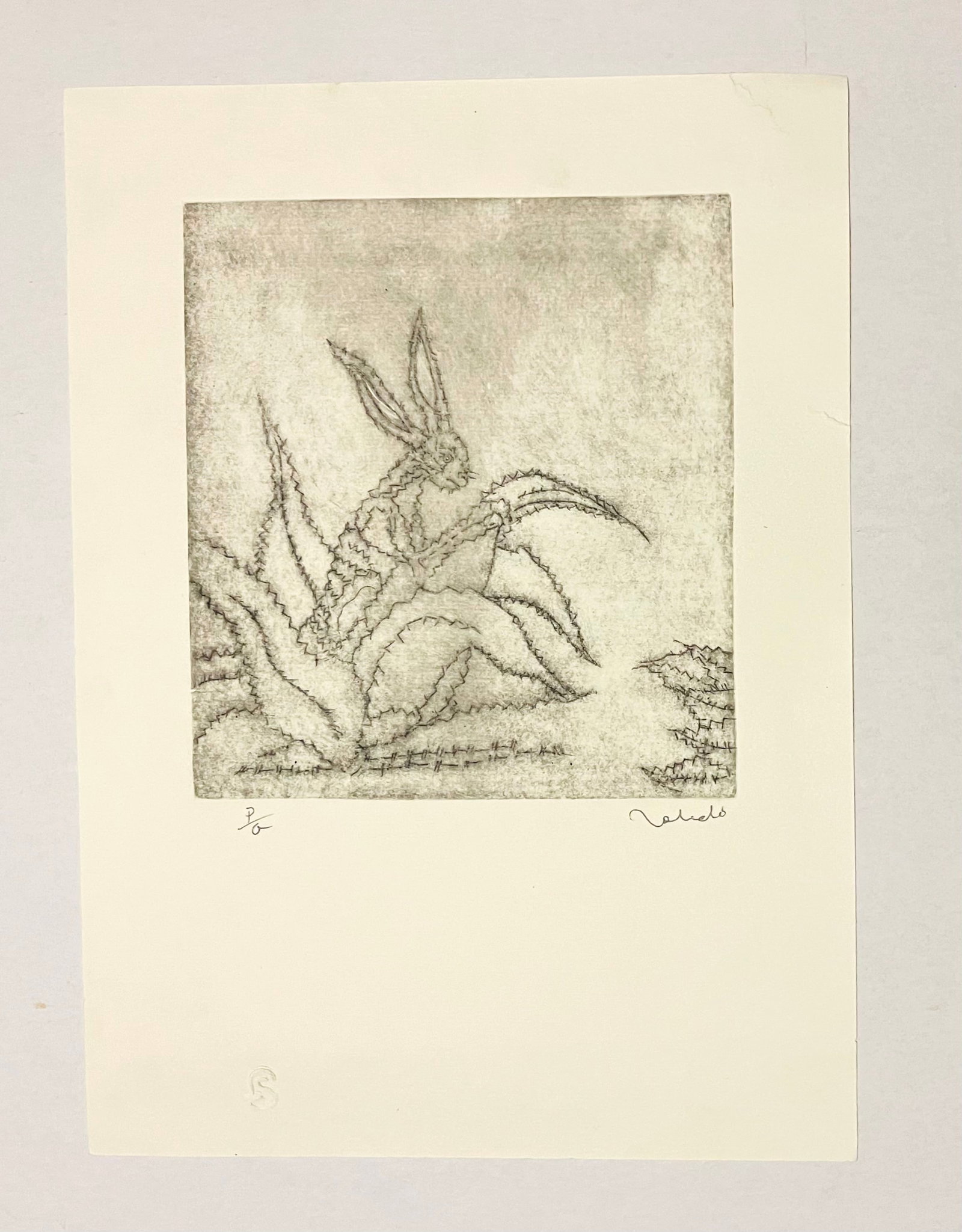 Francisco Toledo, (1940-2019), Hand Signed, Aguafuerte "Rabbit" Etching, P.A. (1 of 6)