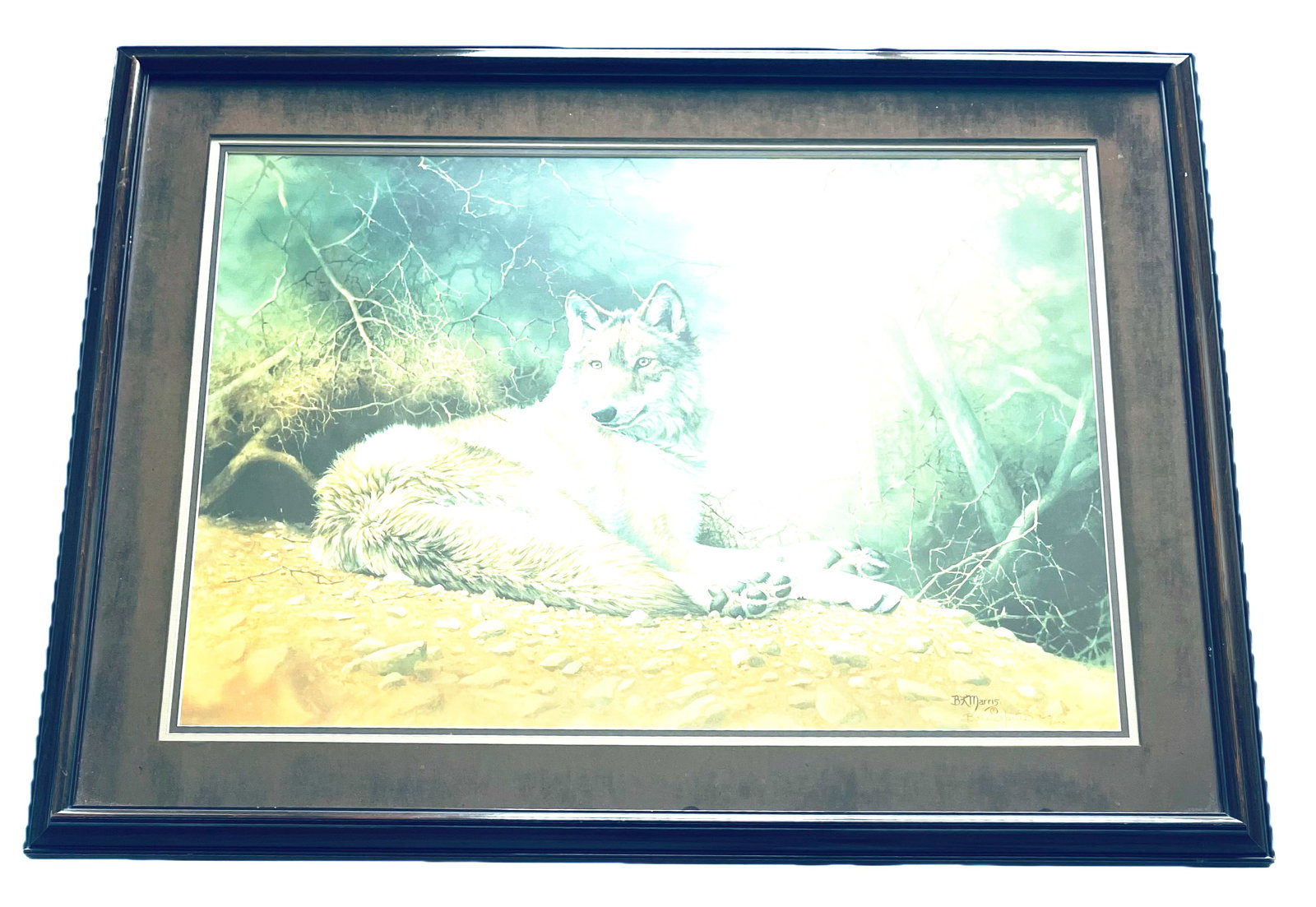 Bonnie Marris, signed/numbered lithograph "Kenai Dusk": NO RESERVE Item Details Artist: Bonnie Marris Title: Kenai Dusk Year: Approx. 1994 Dimensions: Unframed - 29 x 21 inches Edition: #968 of 1000 Framed: yes Medium: Lithograph Condition: Good Details: