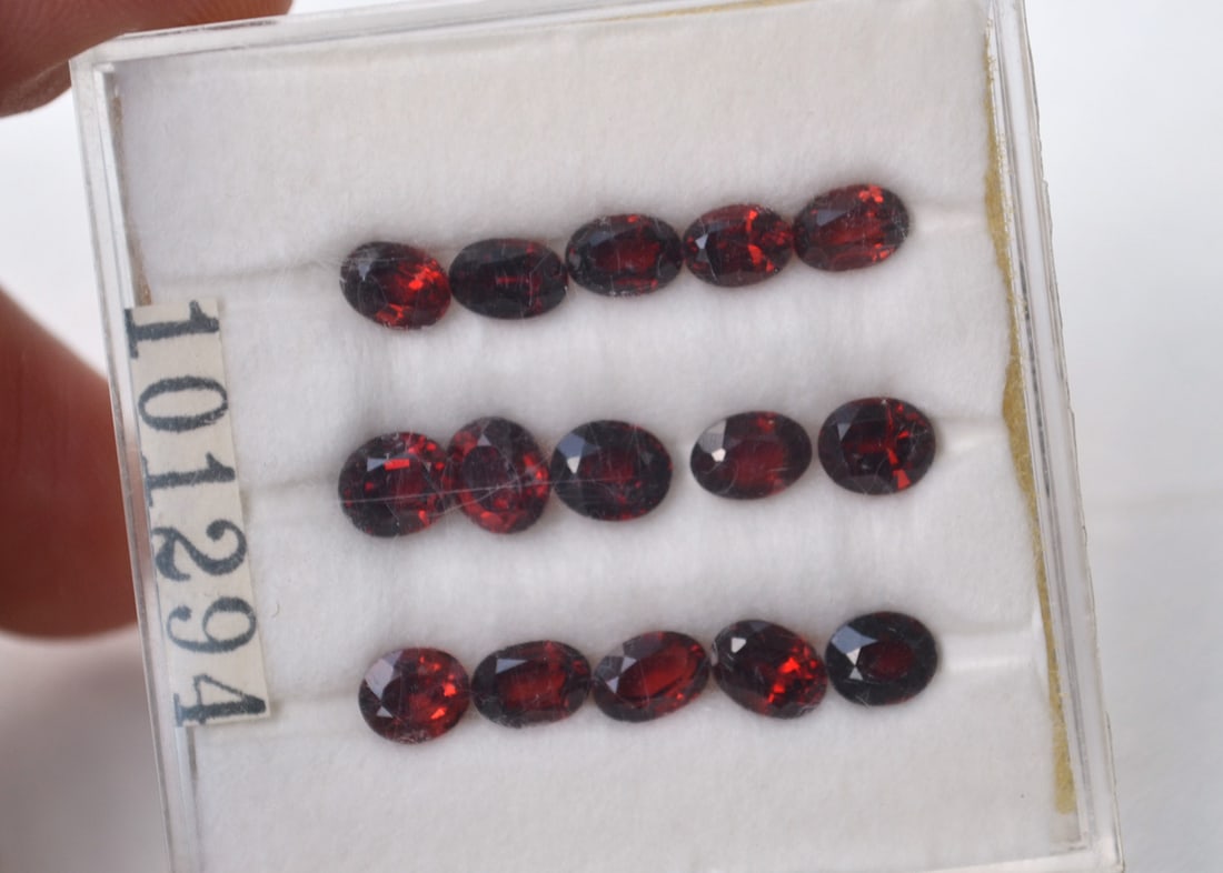 100+ Carats of Jewelry Grade Garnets: Gorgeous set of jewelry grade Garnets here. Because this case is sealed, we can't get an exact weight on these. 100 carats is very conservative. These stones could easily weigh in at 200 or more carat