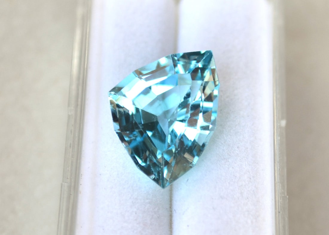10.16 Carat Fancy Trillion Cut Sky Blue Topaz - 4