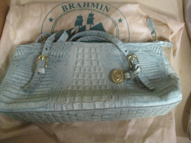 Brahmin Mint Green Leather Skin Purse with Bag (1 of 4)