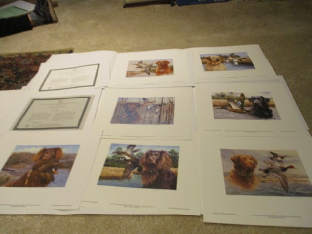 Unframed SC Waterfowl Hunting & Conservation Stamp Seven Print Series with COA (1 of 20)