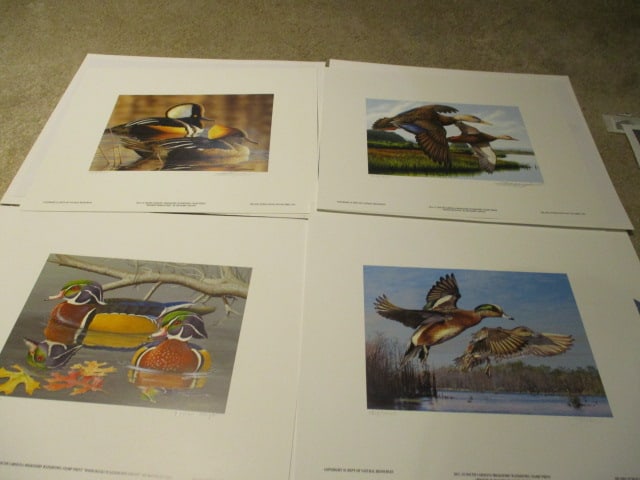Four Unframed SC Waterfowl Hunting & Conservation Stamp Print Portfolios with COA (1 of 12)
