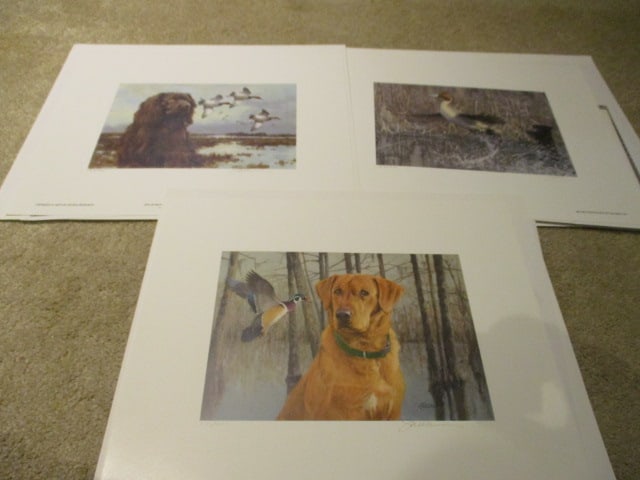 Three Unframed SC Waterfowl Hunting & Conservation Stamp Print Portfolios with COA (1 of 13)