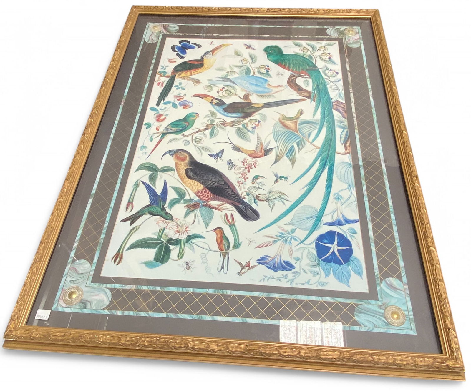 Nice Framed Colorful Bird Picture (1 of 3)