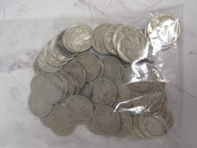 (48) Buffalo Nickels (1 of 3)