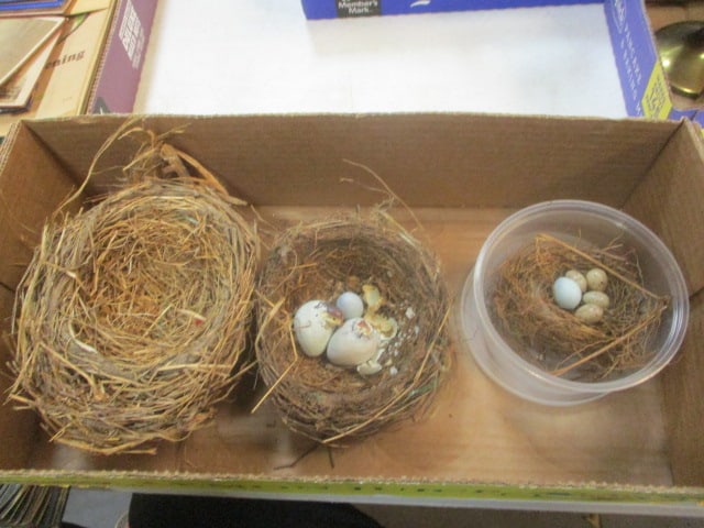 3 Natural Birds Nests with Decorative Eggs: see pictures and preview
