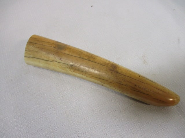 Appears to be Vintage Pre Ban Ivory Tusks. (1 of 6)