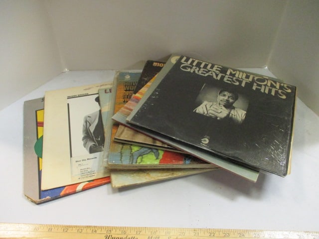 15 Blues Greats Vinyl LP Albums:Muddy Waters, Howling Wolf, Little Walter, Etc. (1 of 9)