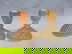 item-210630319=1