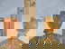 item-210630319=3