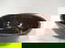 item-210749595=1