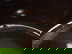 item-210749595=5