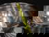 item-210751238=5
