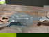 item-210751238=7
