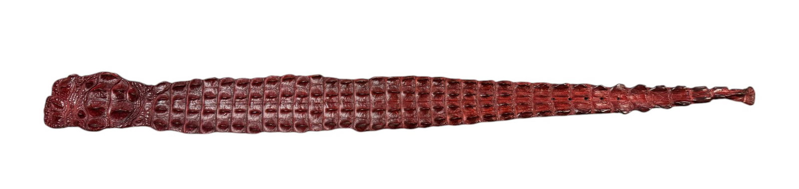 Genuine South African Leather 43" Nile Crocodile Kulu Fashion Belt - Dark Red (1 of 5)