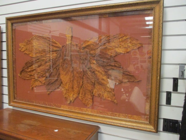 One of a Kind Framed and Mounted Tobacco Leaf Bundle (1 of 5)