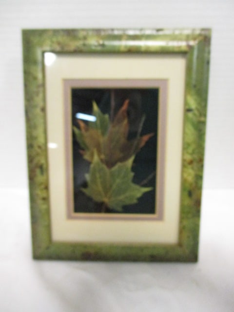Shadow Box Framed 1997 Booker Morey "Leaf Lines" Natural Art (1 of 5)