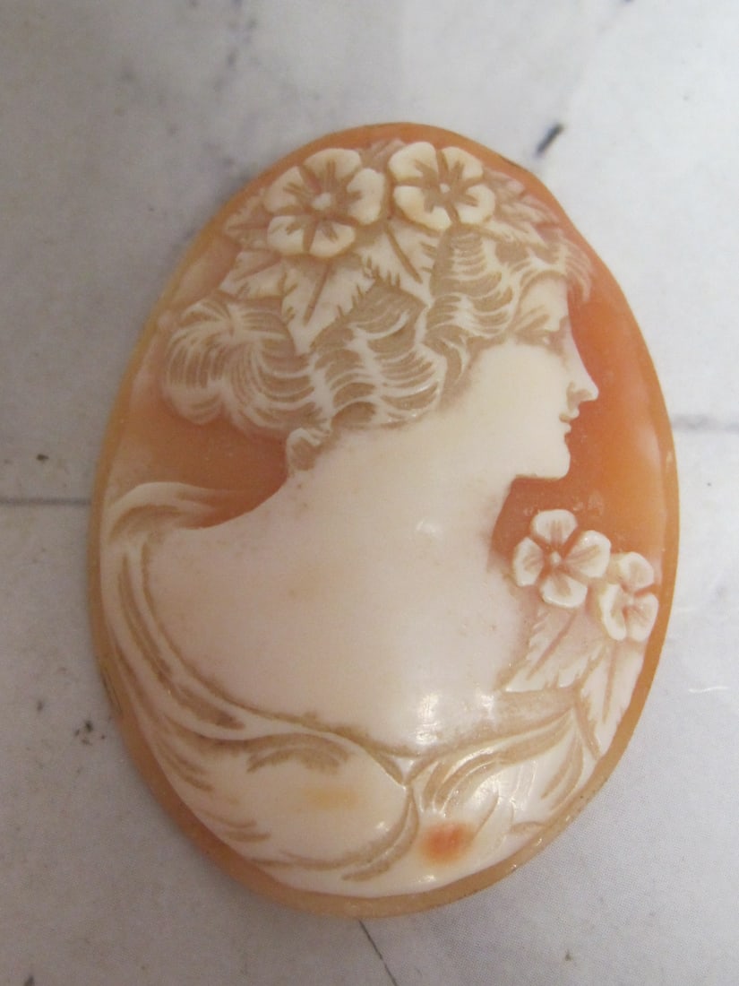 Cameo Carved Shell Portrait of Female (1 of 5)