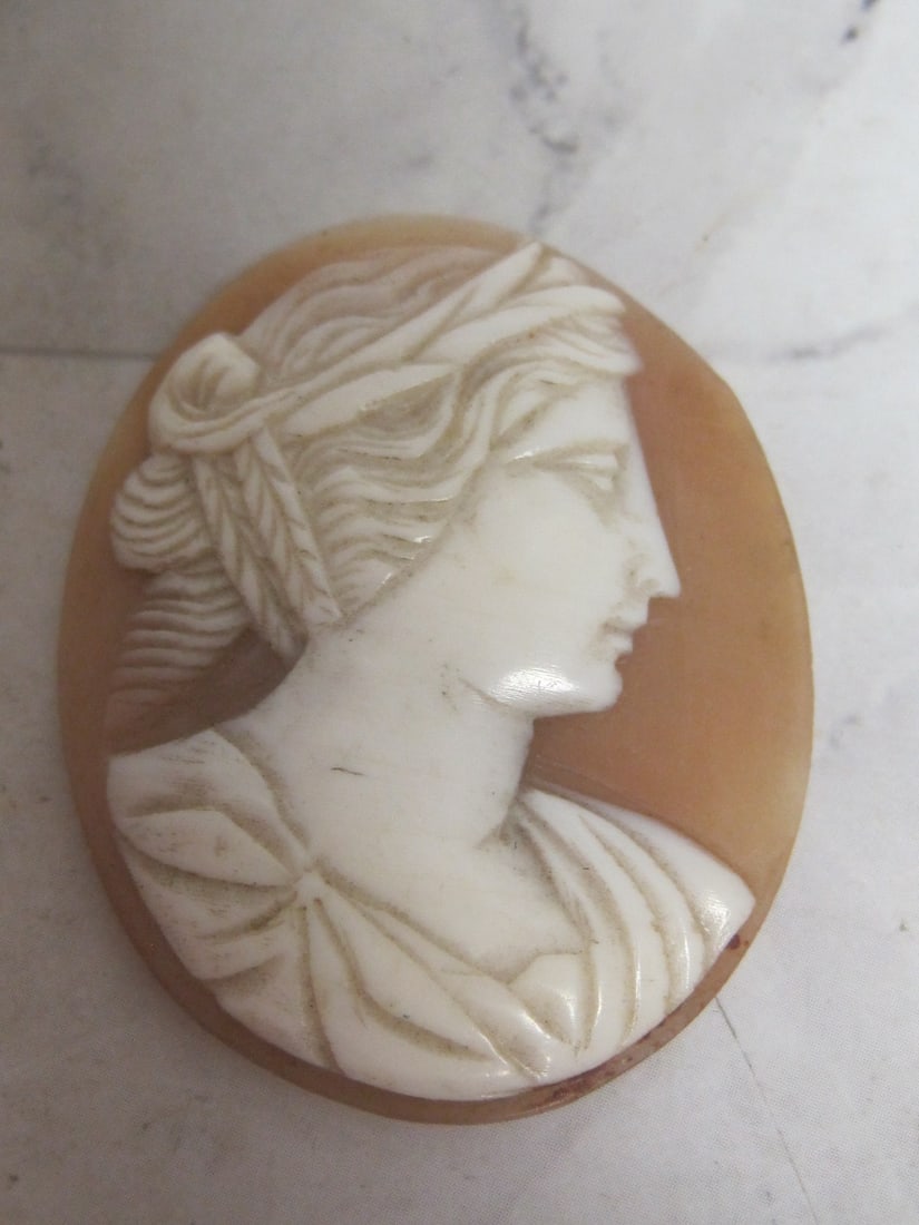 Carved Shell Cameo Portrait of Female: Unframed