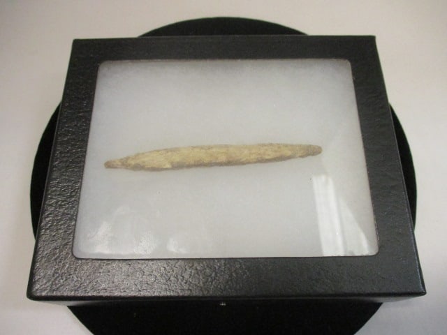 Egyptian Bone Spear Point per consignor (3rd Century BC): 3 1/2"