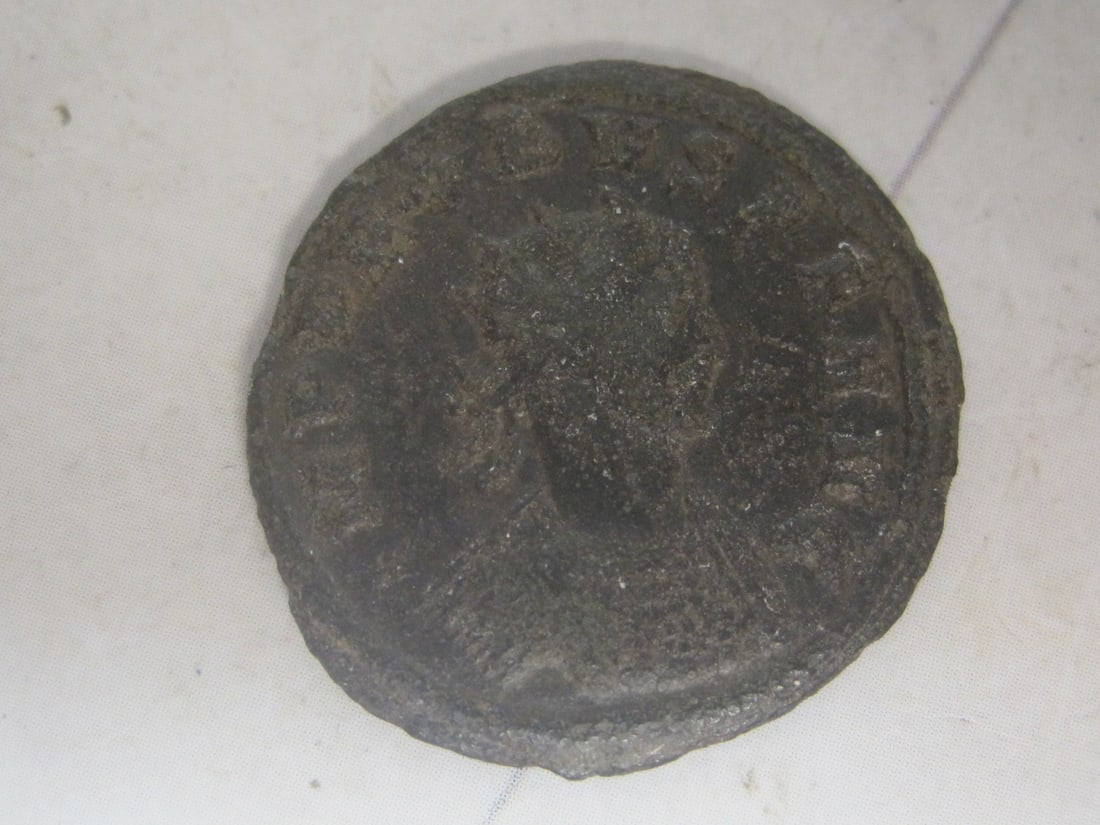 Ancient Roman Coin: Probus portrait, 276-282 AD, bronze, genuine