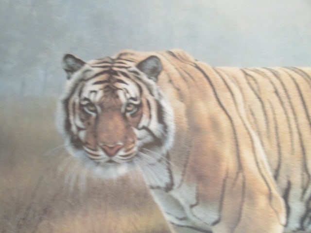 Framed and Matted Charles Frace Signed "Tiger" Print - 3